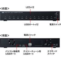 USBハブ　USB2.0　USB-C　Type-C×12　USBポート　USB-2THCS12　サンワサプライ　1個（直送品）