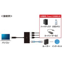 サンワサプライ USB Type-Cハブ付き ギガビットLANアダプタ USB-3TCH19RBK 1個（直送品）
