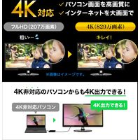 サンワサプライ USB3.1-HDMIディスプレイアダプタ USB-CVU3HD3 1個