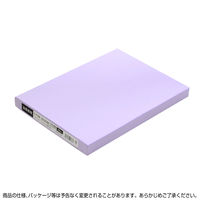 ササガワ OA金箔賞状用紙 A4判 縦書用 白 10-3160 1箱(100枚入)