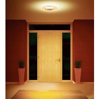 アイリスオーヤマ 小型シーリングライト 導光板 1500lm 電球色 SCL-150L-LGP 1台