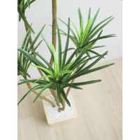 ポピー 人工樹木／人工観葉植物 ユッカ GLA-1198 グリーン 1鉢 幅520×奥行520×高さ約1200mm インテリアグリーン