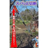 Yard Force YARDFORCE 高枝切り電動チェーンソーV max ESN25A-JP 1個（直送品）