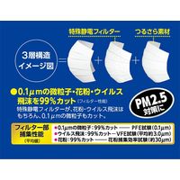 白元アース　快適ガード さわやかマスク　レギュラーサイズ　ホワイト　1箱（30枚入）