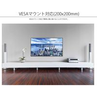 JAPANNEXT（ジャパンネクスト） 50インチ4K液晶モニター JN-HDR501V4K 大型モニター 1台