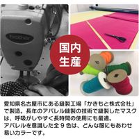 かきもと 洗えて繰り返し使えるマスク 3枚組 kakimask005 1セット(3枚入)（直送品）