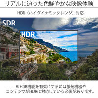 JAPANNEXT 65インチワイド4K対応液晶モニター JN-HDR650V4K 1台（直送品）
