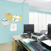 ターナー色彩 マグネットペイント 黒 500ML 247675060000 1個（直送品）