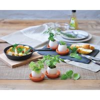 聖新陶芸 聖新 EG-4806 エッグリング エコ ラベンダー 1個（直送品）