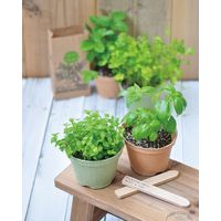 聖新陶芸 聖新 GD-41005 エコット S ラベンダー 1個（直送品）