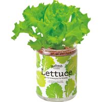 聖新陶芸 聖新 GD-86305 グリーンペット(new) レタス 1個（直送品）