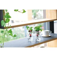 聖新陶芸 聖新 WD-02 グローテール ミニーマウス ストロベリー 1個（直送品）