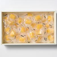 【簡易包装】アデリー　ホシフルーツ　ゆめほっぺみかんアイス　３０粒YHI-30（直送品）