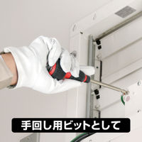 アネックスツール 差替＋ービット2本組　＋2×ー6×135 395DB2　1セット