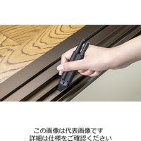 グリーンベル Gー2175 お掃除キット 1個（直送品）
