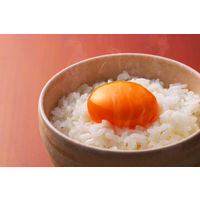 アイリスフーズ　低温製法米のおいしいごはん 国産米100% 180g　1袋（10食入） 包装米飯 米加工品 パックごはん