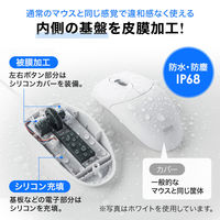 有線マウス　静音　3ボタン　大型サイズ　IR LED　MA-IR131BS　サンワサプライ　1個