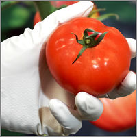 【ニトリル手袋】 エステー ニトリルフィット No330 ホワイト M 1双