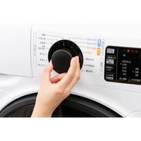 【設置込】アイリスオーヤマ ドラム式洗濯機 8.0kg HD81AR-W 1台（直送品）