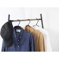 アイリスオーヤマ スタイルハンガー コーナータイプ ブラック PI-C150 1台