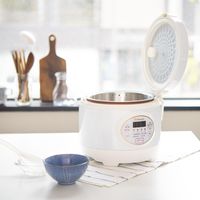 KNチヨダ 糖質カット炊飯器 VI-RCL3A-WT　1台（直送品）