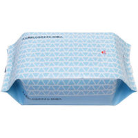 【おしりふき】【大人用/流せない】薦田紙工業 大人用おしりふきタオル WB-735　1セット(60枚入×24パック)