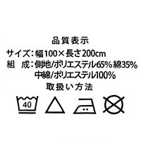 スマイル　制菌加工仕様　ベッドパッド　100×200cm　シングルサイズ　ホワイト　749204　1枚