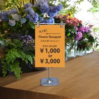 大王製紙 マルチカラー紙 CW-620C A4オレンジ500枚 1冊（直送品）