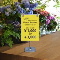 大王製紙 マルチカラー紙 CW-620C A4黄色500枚 1冊（直送品）