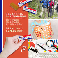 森永製菓 塩キャラメル 4902888210075 12ツブ×20個（直送品）