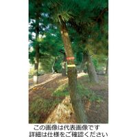 アークランズ GREATTOOL サインテープ 幅30mm×長50m イエロー 478139419 1セット(5巻:1巻×5個)（直送品）