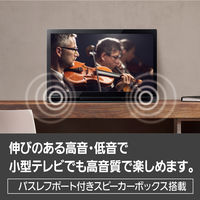 パナソニック 19V型 ポータブル 液晶テレビ プライベート・ビエラ UN-19F10-K ブラック HDMI入力端子搭載 リモコン付