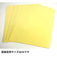 コクヨ クリヤーブック替紙 B5縦 2穴 10枚入 ラ-681N 1セット(50枚:10枚入×5パック)