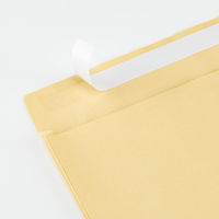 寿堂 A3大型クラフト マチ付100g フラップテープ付 03856 1箱（100枚入）03856