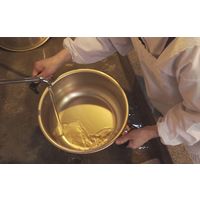 北陸アルミニウム 純しゅう酸 味づくし 40 4977449129127 1個