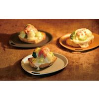 トリートレイサークル　シルバー 4977449141488 5枚セット 北陸アルミニウム（直送品）