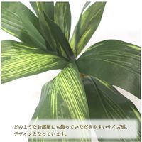 ササガワ フェイクグリーン・人工観葉植物 ドラセナ Mサイズ 32-8709 1個（直送品）