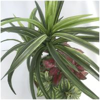 ササガワ フェイクグリーン・人工観葉植物 ユッカ寄植え Sサイズ 32-8707 1個（直送品）