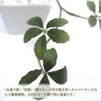 ササガワ フェイクグリーン・人工観葉植物 シュガーバイン WHT Sサイズ 32-8705 1個（直送品）