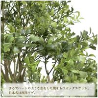 ササガワ フェイクグリーン・人工観葉植物 ボックスウッド Mサイズ 32-8710 1個（直送品）
