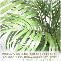 ササガワ フェイクグリーン・人工観葉植物 アレカヤシ Lサイズ 32-8724 1個（直送品）