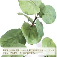 ササガワ フェイクグリーン・人工観葉植物 ウンベラータ Lサイズ 32-8722 1個（直送品）