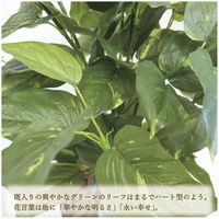 ササガワ フェイクグリーン・人工観葉植物 ポトス Lサイズ 32-8718 1個（直送品）