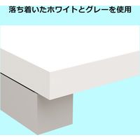 【軒先渡し】Y2K Akira スタンディングデスク 幅800×奥行450×高さ1000mm ホワイト WDH-0845-WH 1台（直送品）