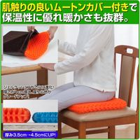 ファミリー・ライフ 快適＜無重力＞ジェルクッションEX 03891 1個（直送品）