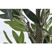 不二貿易 オリーブ 312 52689 1個