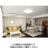 因幡電機産業 シーリング6畳用 調光調色 JCL6ーCA 1台（直送品）