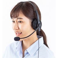 サンワサプライ 不織布ヘッドホンイヤーパッドカバー MM-HSC3BK 1セット(100枚入)（直送品）