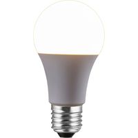 磁気研究所 LED電球 100W相当 全方向 4万時間タイプ 昼白色 E26口金 HDLED100W5000K 1セット(2個入)