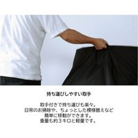 【軒先渡し】関家具 Contieaks(コンティークス） スクウェア ビーズソファ レッド 330295 1台（直送品）